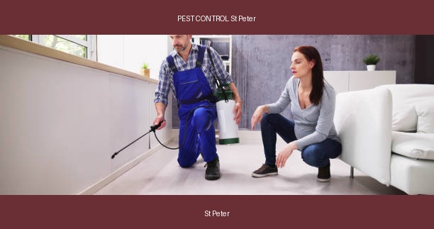 PEST CONTROL St Peter